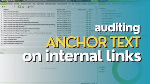 Thumbnail with article title "auditing internal anchor text".